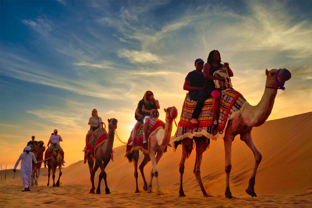 Camel Ride Experience
